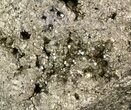 Chunk Of Golden Pyrite (Fools Gold) - Peru #50100-1